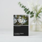 Half&Half Foto 024 - Cherry Blossom Visitenkarte (Stehend Vorderseite)