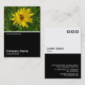 Half&Half Foto 0259 - Hover Fly on a Yellow Chrys Visitenkarte (Vorne/Hinten)