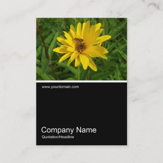 Half&Half Foto 0259 - Hover Fly on a Yellow Chrys Visitenkarte (Vorderseite)