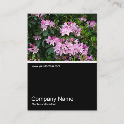 Half&Half Foto 025 - Rhododendren Visitenkarte (Vorderseite)