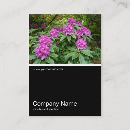 Half&Half Foto 026 - Rhododendren Visitenkarte (Vorderseite)
