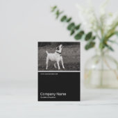 Half&Half Foto 0273 - Hund Agog Visitenkarte (Stehend Vorderseite)