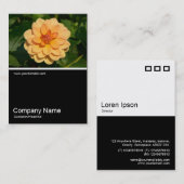 Half&Half Foto 0281 - Dahlia 'David Howard' Visitenkarte (Vorne/Hinten)