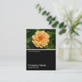 Half&Half Foto 0281 - Dahlia 'David Howard' Visitenkarte (Stehend Vorderseite)