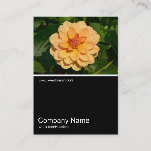 Half&Half Foto 0281 - Dahlia 'David Howard' Visitenkarte (Vorderseite)