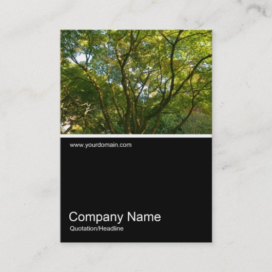 Half&Half Foto 0289 - Japanische Zweigstellen 06 Visitenkarte (Vorderseite)