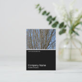 Half&Half Foto 0297 - Sunlit Branches Visitenkarte (Stehend Vorderseite)