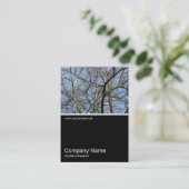 Half&Half Foto 0298 - Zweige in warmer Sonneneinst Visitenkarte (Stehend Vorderseite)