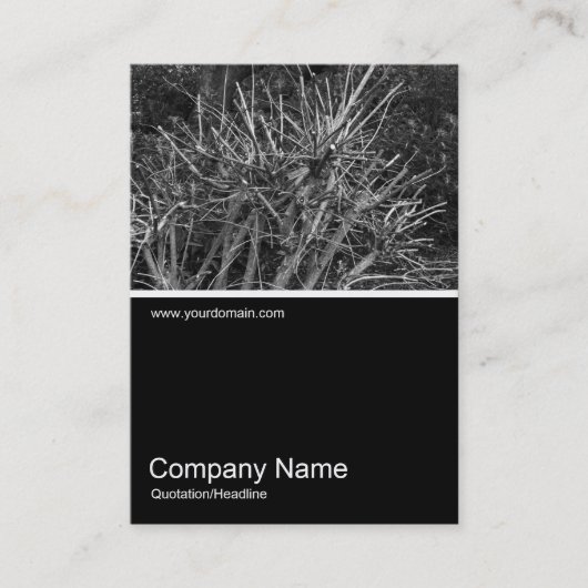 Half&Half-Foto 0301 - Pruned Shrub Visitenkarte (Vorderseite)
