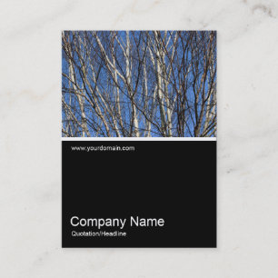 Half&Half Foto 0302 - Silberne Zweige Visitenkarte