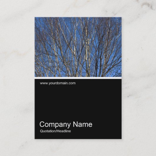 Half&Half Foto 0303 - Silberne Zweige Visitenkarte (Vorderseite)