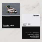 Half&Half Foto 0304 - Mallard Duck Visitenkarte (Vorne/Hinten)