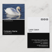 Half&Half Foto 0306 - Mute Swan Visitenkarte (Vorne/Hinten)