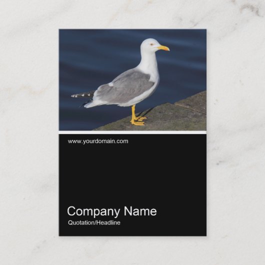 Half&Half Foto 0308 - Gelbmöwe Visitenkarte (Vorderseite)
