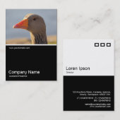 Half&Half Foto 0310 - Inquisitive Gans Visitenkarte (Vorne/Hinten)