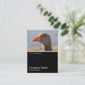 Half&Half Foto 0310 - Inquisitive Gans Visitenkarte (Stehend Vorderseite)