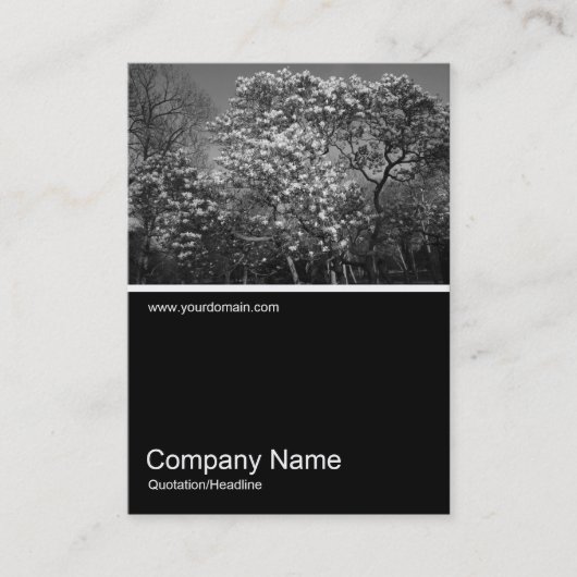 Half&Half Foto 0314 - Magnolia Tree in Blossom Visitenkarte (Vorderseite)