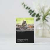 Half&Half Foto 0321 - Graues Eichhörnchen Visitenkarte (Stehend Vorderseite)