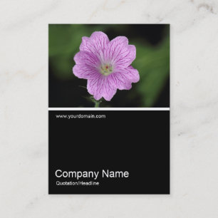 Half&Half Foto 0325 - Geranium Endressii Visitenkarte