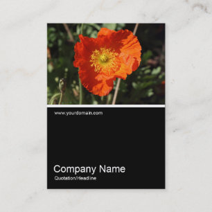 Half&Half Foto 0325 - Walisischer Mohn (Orange) Visitenkarte