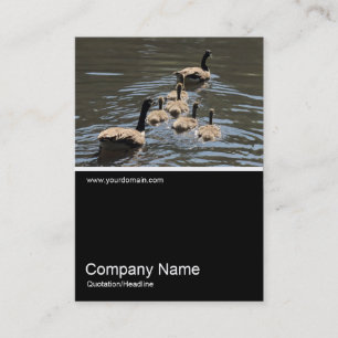 Half&Half Foto 0326 - Kanadas mit Goslings Visitenkarte