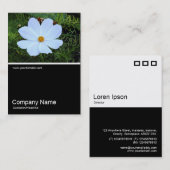 Half&Half Foto 0387 - Weiß Visitenkarte (Vorne/Hinten)