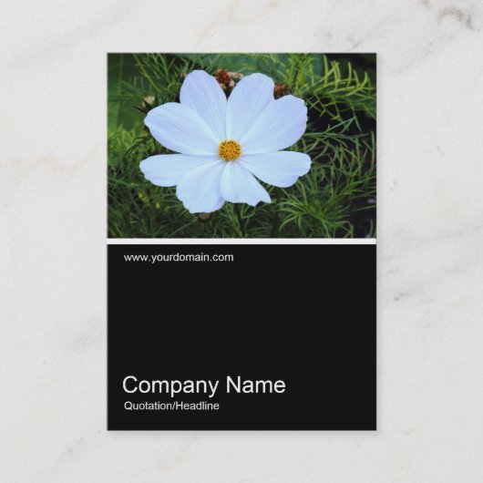 Half&Half Foto 0387 - Weiß Visitenkarte (Vorderseite)