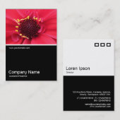 Half&Half Foto 0388 - Dahlia Visitenkarte (Vorne/Hinten)