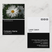 Half&Half Foto 062 - Daisy Visitenkarte (Vorne/Hinten)