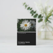 Half&Half Foto 062 - Daisy Visitenkarte (Stehend Vorderseite)