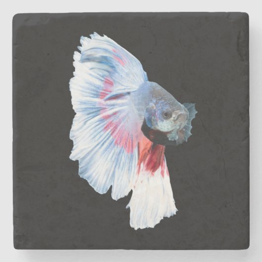 Halfmoon-Betta-Fisch Steinuntersetzer (Vorderseite)