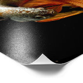 Halfmoon Betta Fish Fotodruck (Ecke)