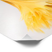 Halfmoon Betta Fish Fotodruck (Ecke)