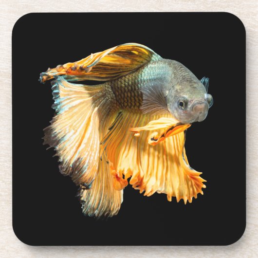 Halfmoon Betta Fish Getränkeuntersetzer (Vorderseite)