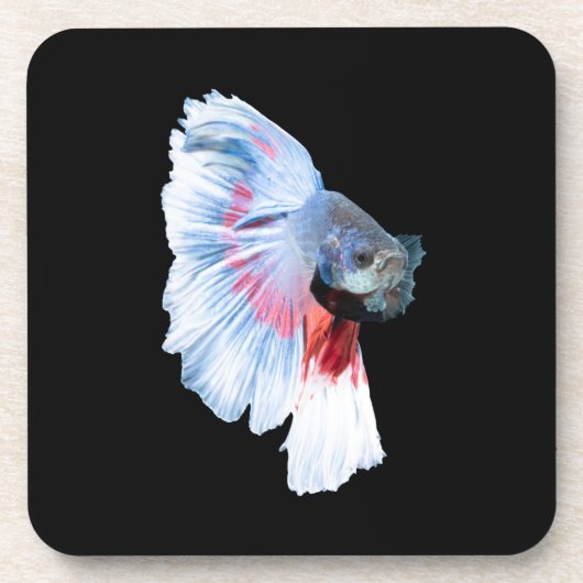 Halfmoon Betta Fish Getränkeuntersetzer (Vorderseite)