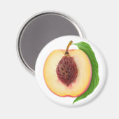 Hälfte der Pfirsich Magnet (Vorderseite/Rückseite)