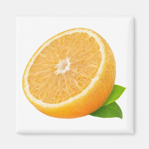 Hälfte Orangenobst Magnet