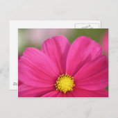 Hälfte Schönheits- Postkarte (Vorne/Hinten)