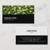 Halfway - Daisy Meadow Visitenkarte (Vorne/Hinten)