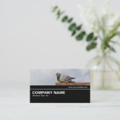 Halfway V2 032 - Good Morning Pigeon Visitenkarte (Stehend Vorderseite)