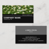 Halfway V2 - Daisy Meadow Visitenkarte (Vorne/Hinten)