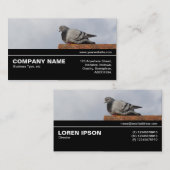 Halfway V3 041 - Gute Morgentaube Visitenkarte (Vorne/Hinten)