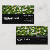 Halfway V3 - Daisy Meadow Visitenkarte (Vorne/Hinten)