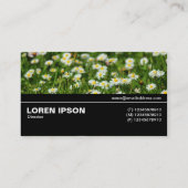 Halfway V3 - Daisy Meadow Visitenkarte (Rückseite)