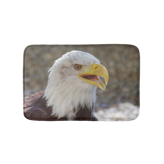 Haliäetus leucocephalus badematte (Vorderseite)