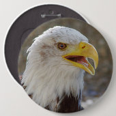 Haliäetus leucocephalus button (Vorne & Hinten)