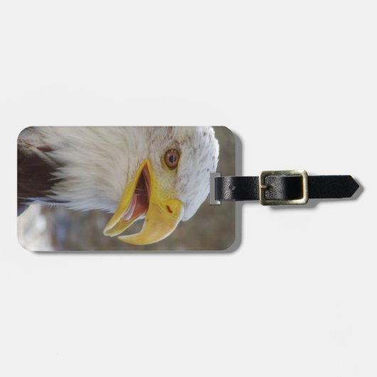 Haliäetus leucocephalus gepäckanhänger (Vorderseite horizontal)