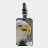 Haliäetus leucocephalus gepäckanhänger (Vorderseite vertikal)