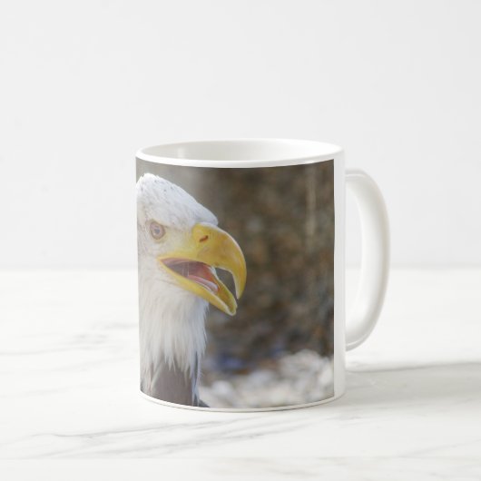 Haliäetus leucocephalus kaffeetasse (VorderseiteRechts)
