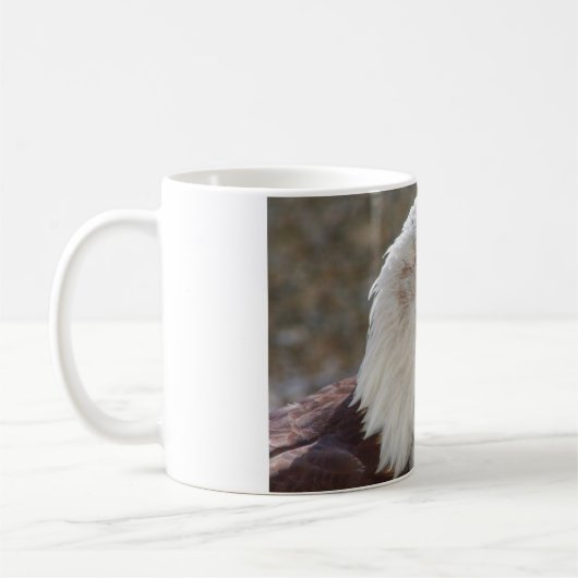 Haliäetus leucocephalus kaffeetasse (Links)